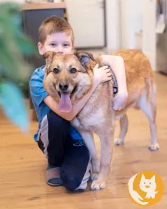 Собака-компаньон и друг для детей в добрые руки